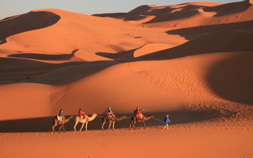 Maroc : du thé à la menthe et des tapis volants